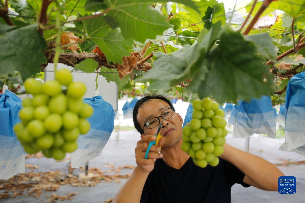 捕鱼游戏单机版